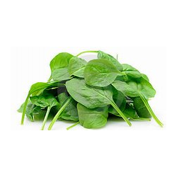 Spinacino