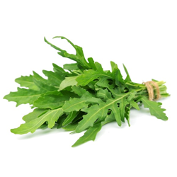 Rucola